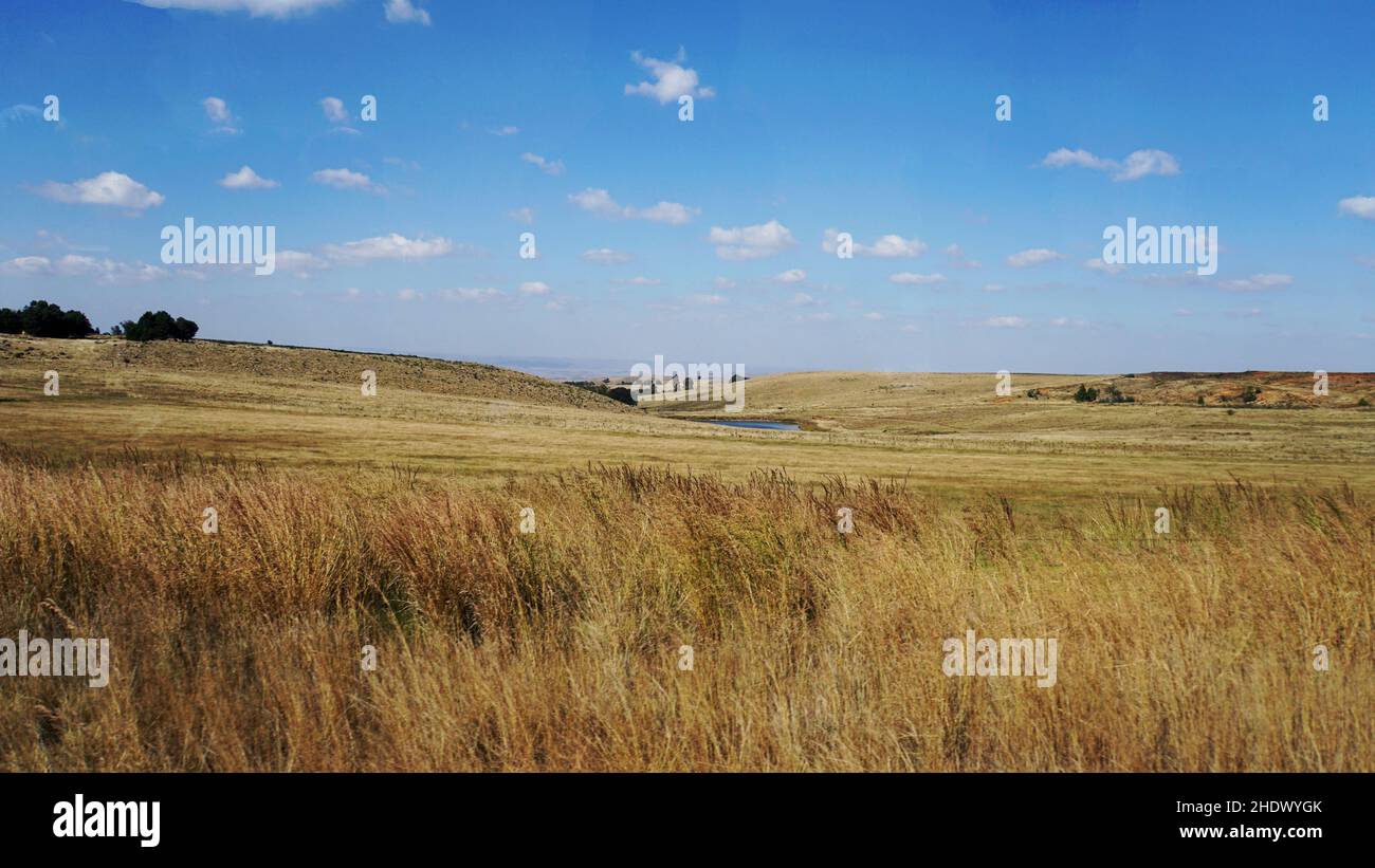 field, south africa, gauteng, fields, south african, south africas Stock Photo