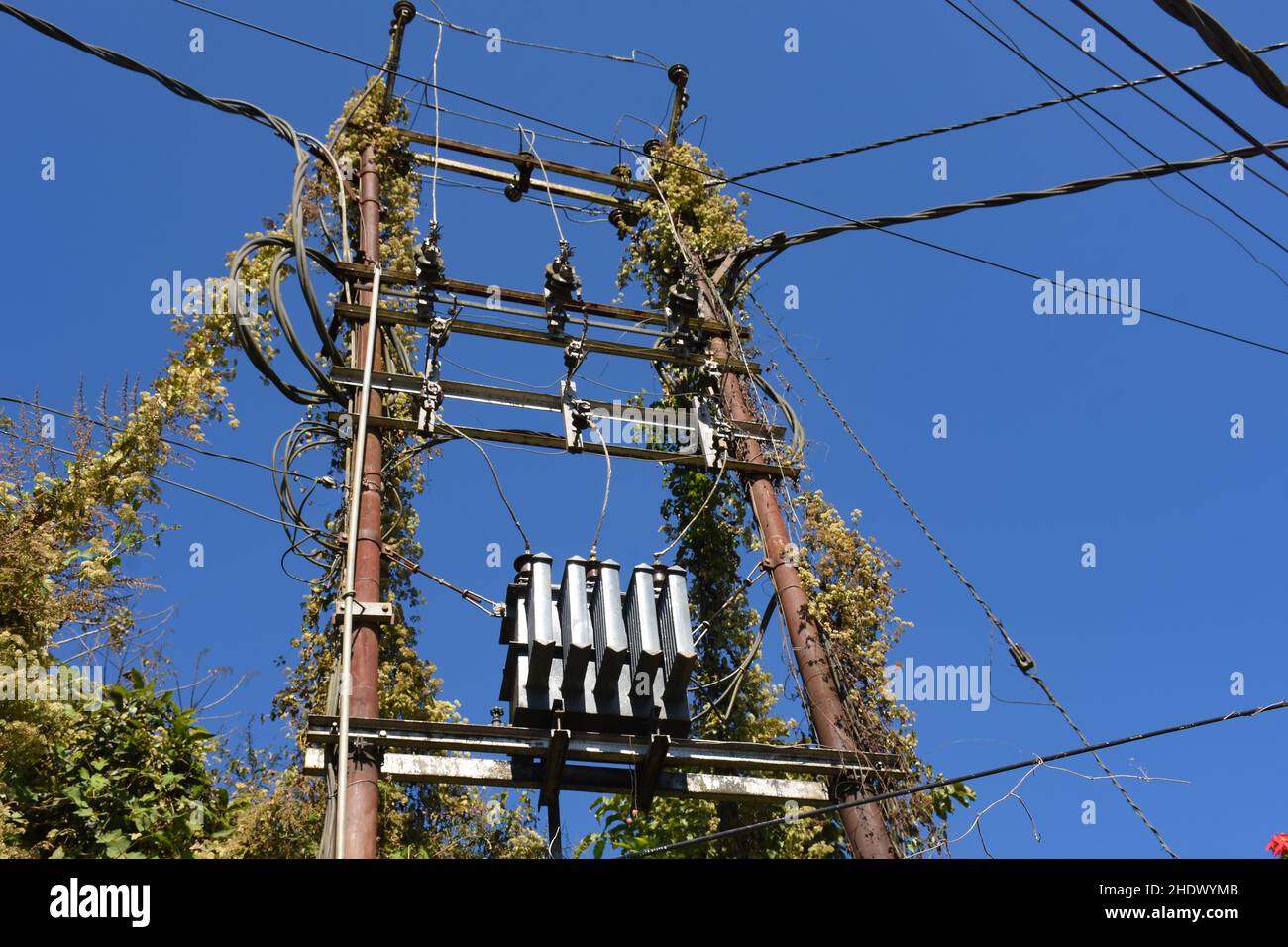 An electrical distribution transformer with cooling fins is located on the pole. Against the blue sky. Stock Photo