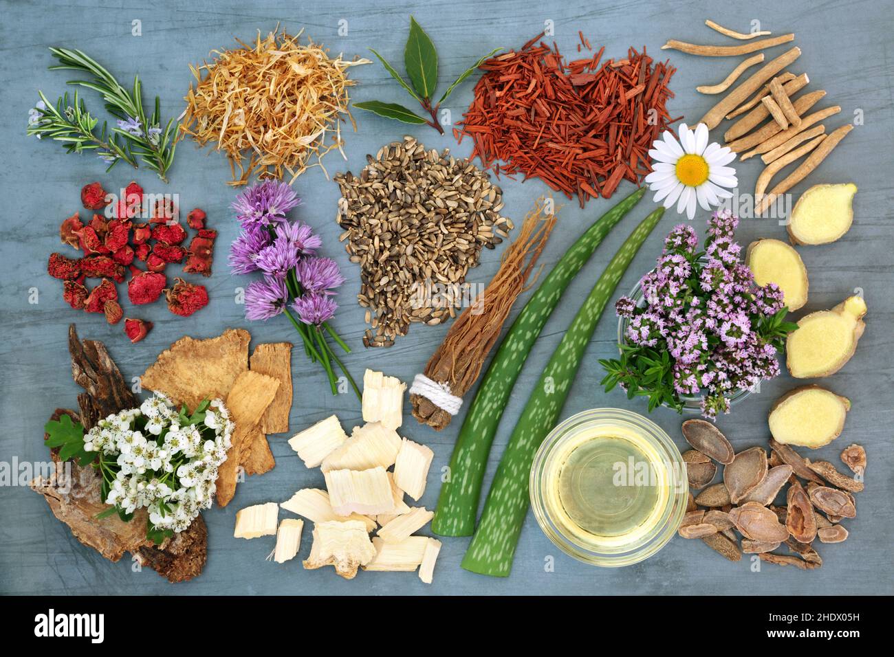 Herbal medicine with herbs and flowers in bowls and loose for natural plant medicine healing remedies. Alternative health care concept. Stock Photo