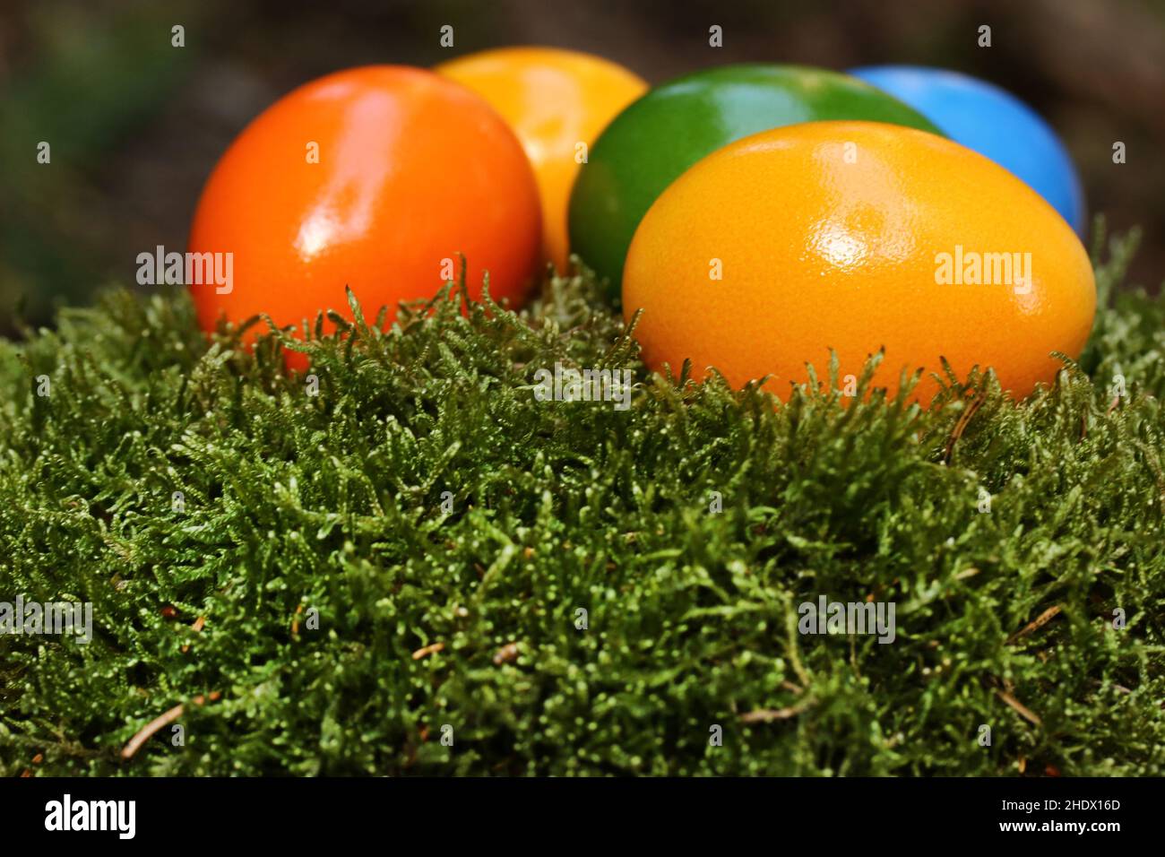 easter, easter egg, easters, easter eggs Stock Photo