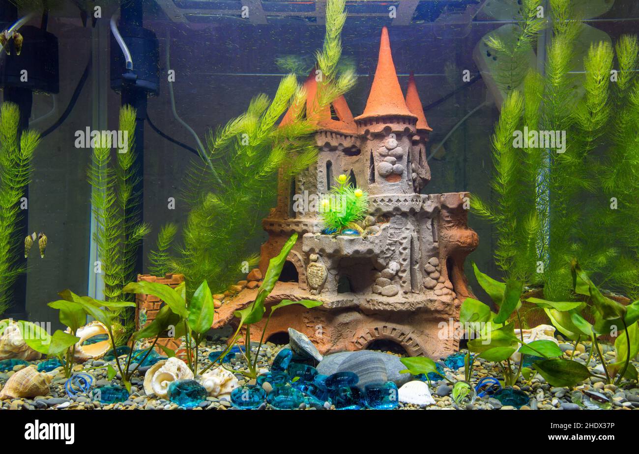 Aquarium decoration hi-res stock photography and images - Alamy