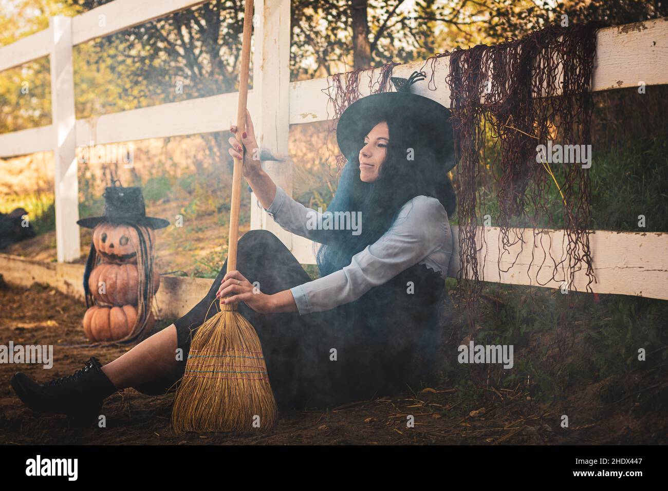 witch, witches broom, halloween, witchs, witches brooms, halloweens Stock Photo