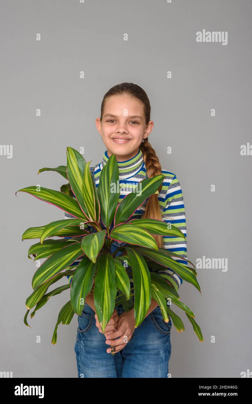 Girl houseplant hi-res stock photography and images - Alamy