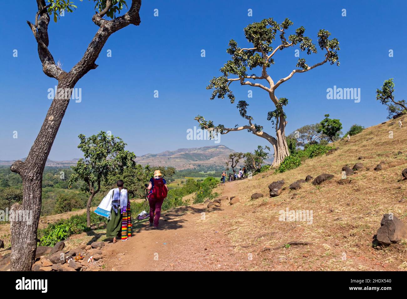 hiking, ethiopia, ethiopias Stock Photo Alamy