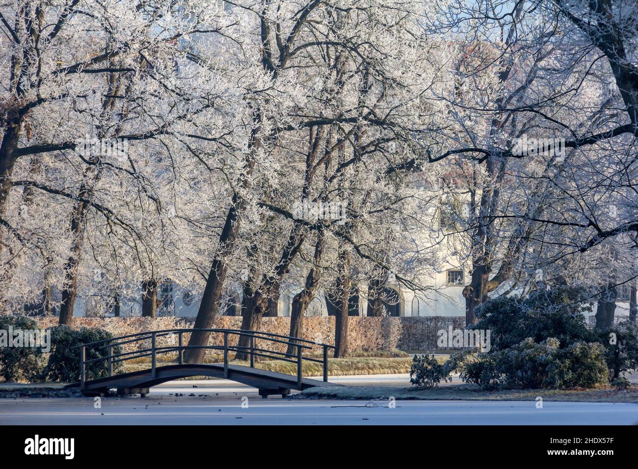 bridge, french formal garden, zabeltitz, bridges, french formal gardens
