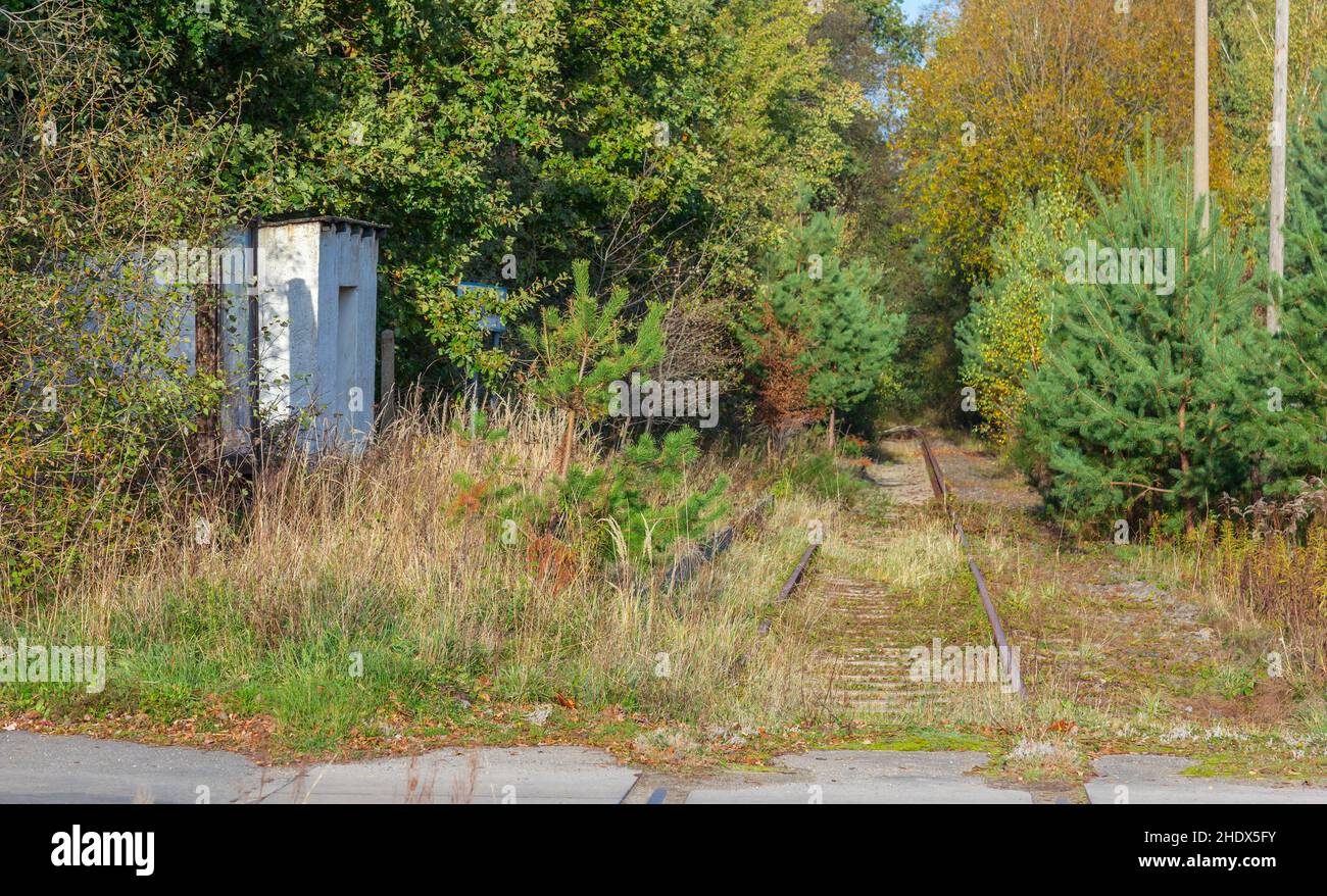 railroad track, decommissioned, overgrown, railroad tracks, decommissioneds, overgrowns Stock Photo