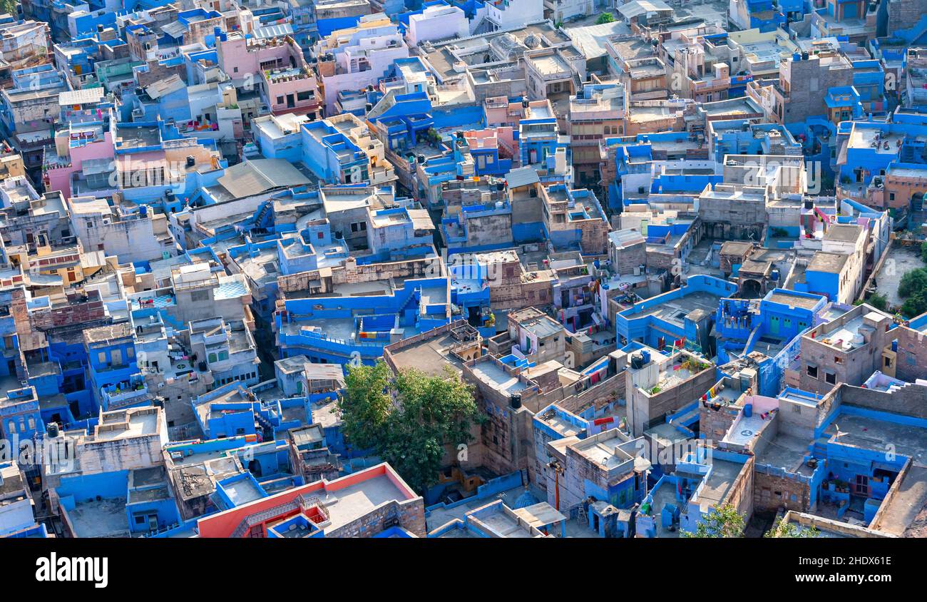 jodhpur, blue city, jodhpurs, blue cities Stock Photo