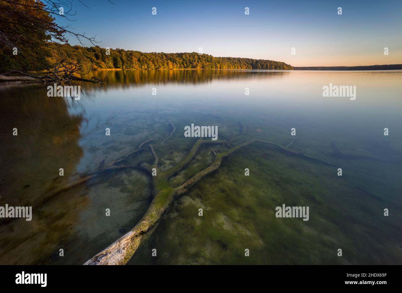 twilight, landscape, lake, tree root, twilights, landscapes, rural ...