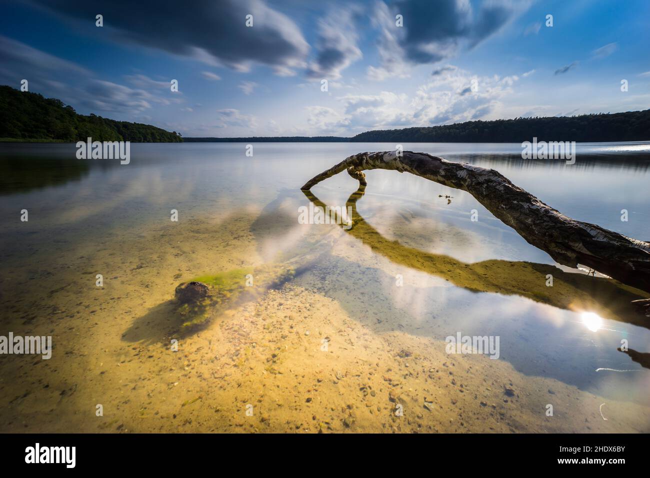 lake, deadwood, lakes, deadwoods Stock Photo