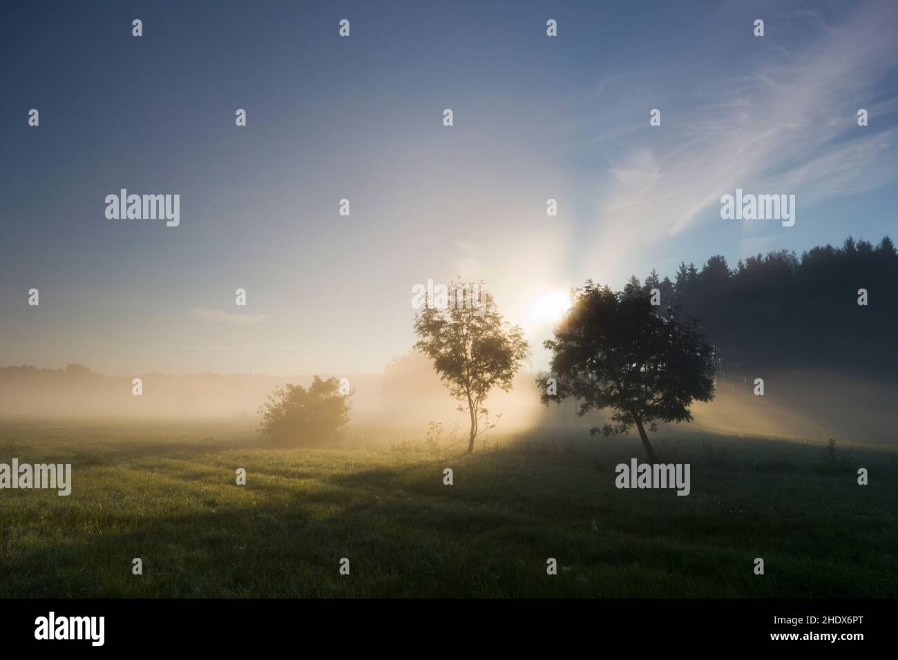 Morning mood at sunrise hi-res stock photography and images - Alamy