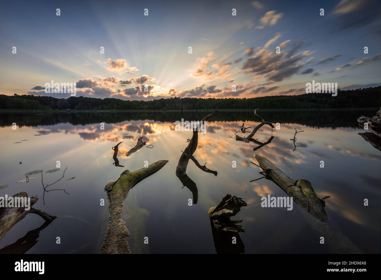 sunset, Lake Stechlin, sunsets Stock Photo