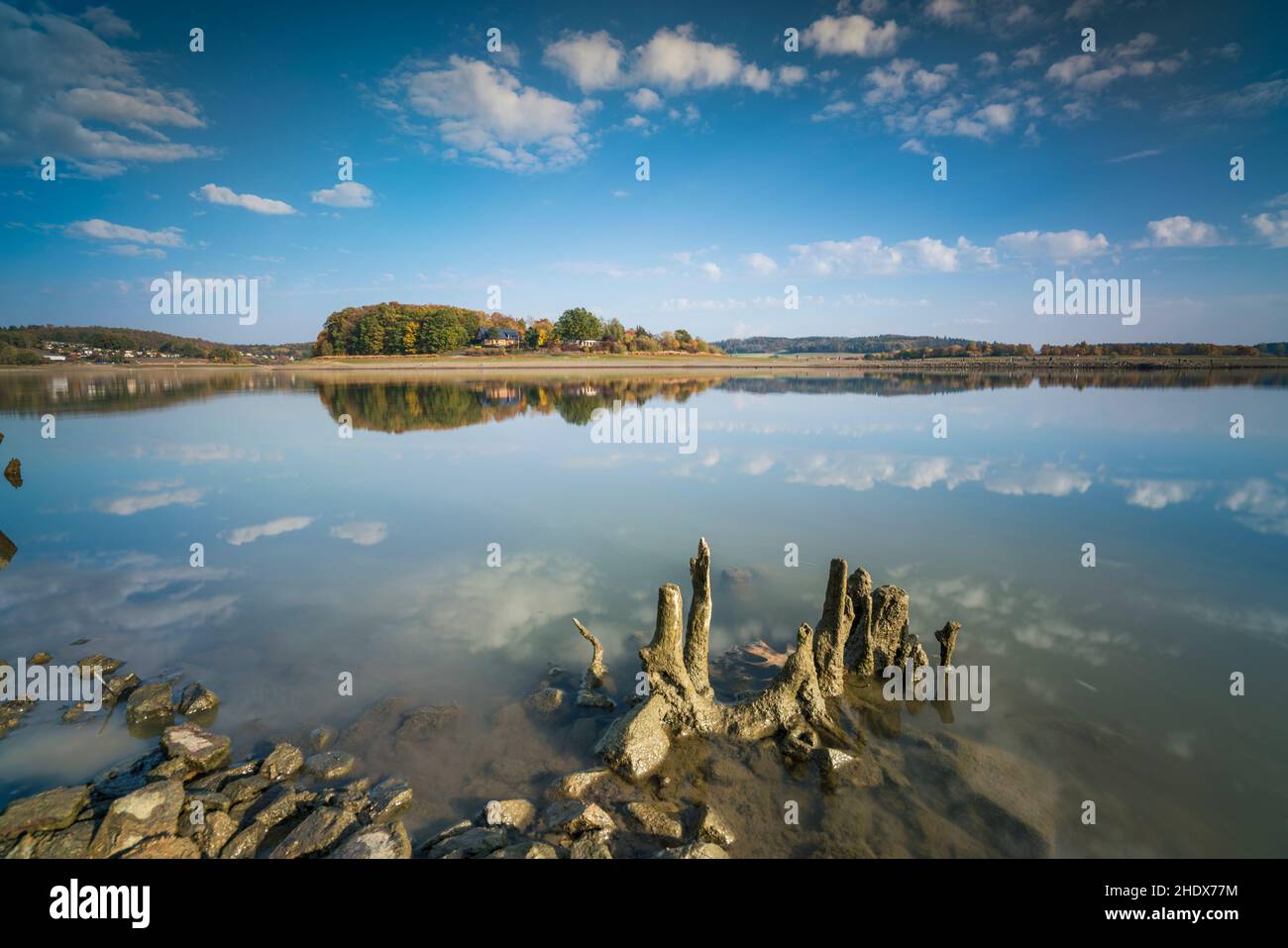 lake, deadwood, lakes, deadwoods Stock Photo