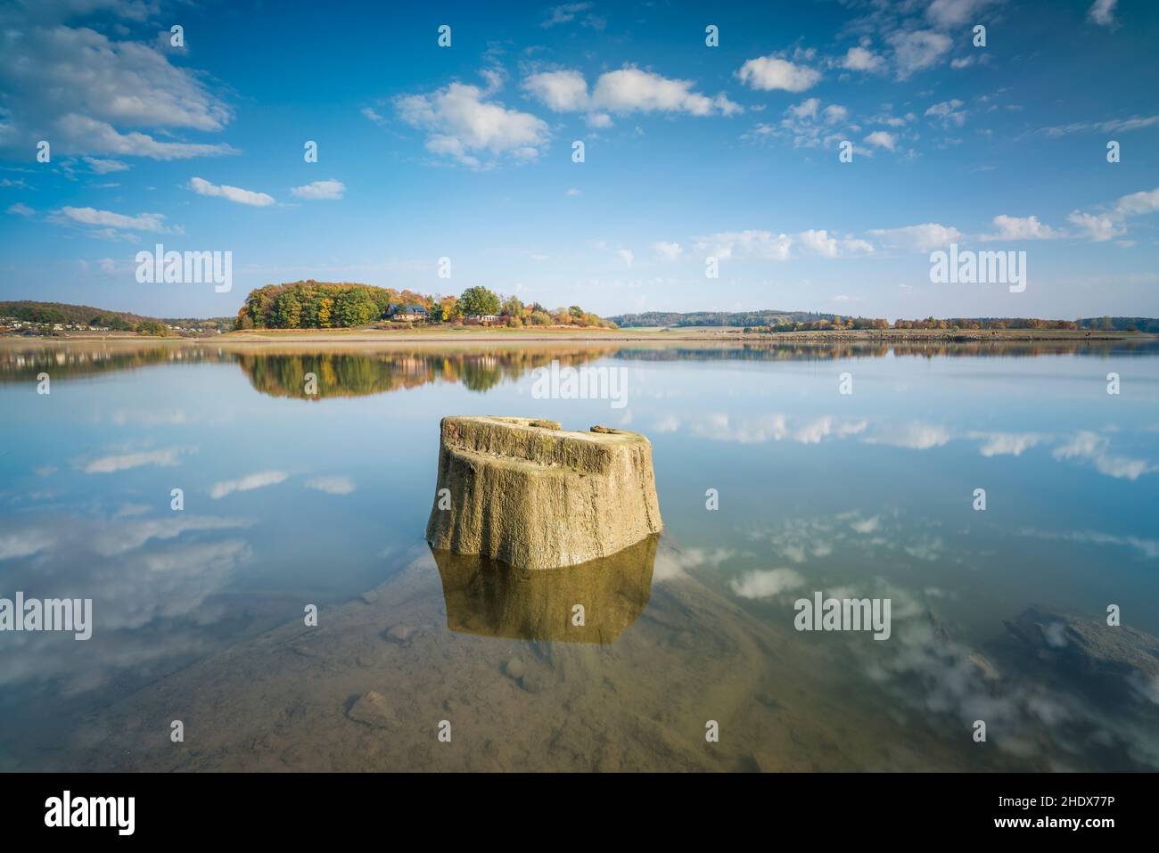 lake, tree stump, lakes, tree stumps Stock Photo