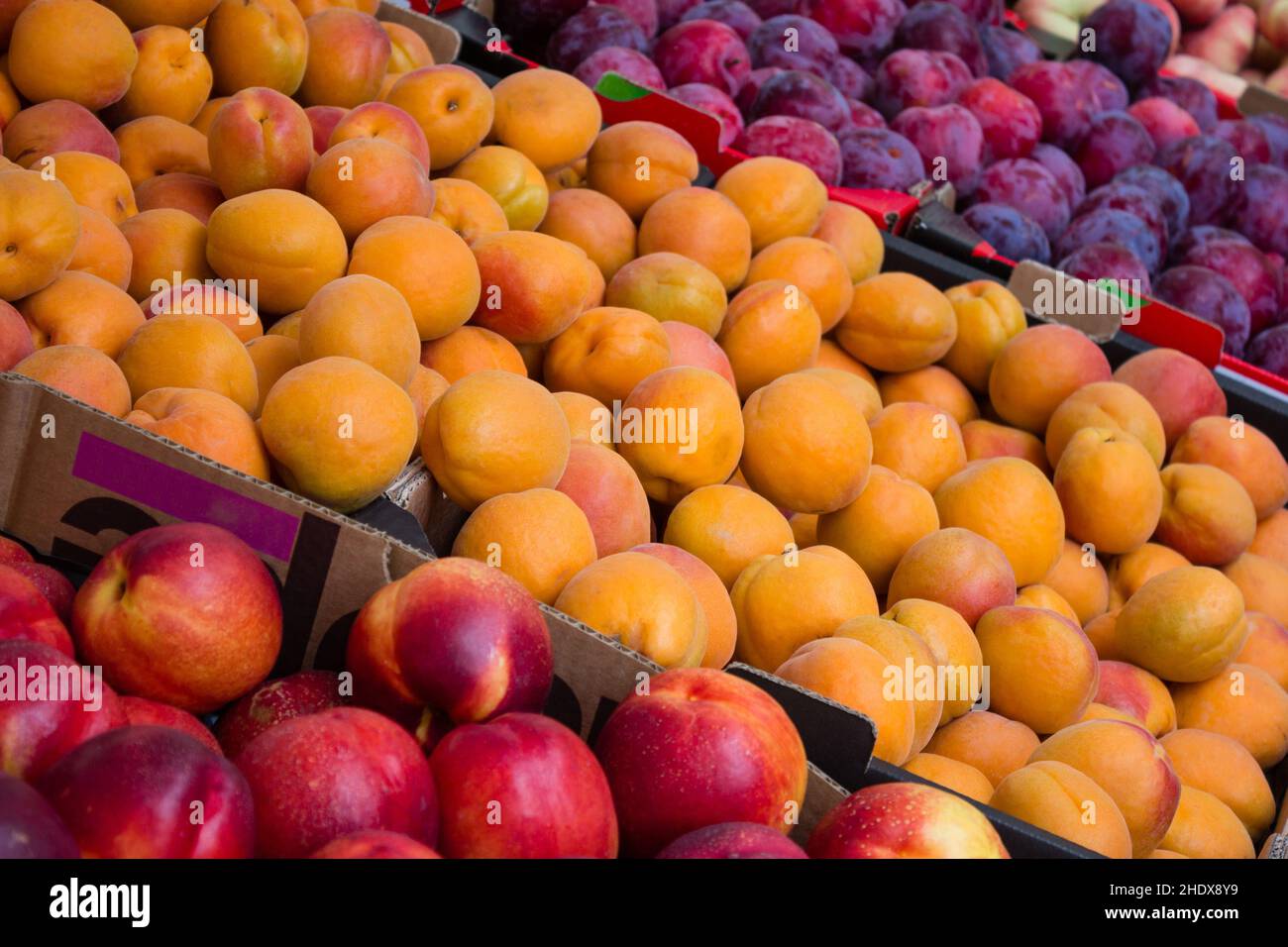fruit, stonefruit, fruit stand, nectarine, fruits, stonefruits, fruit