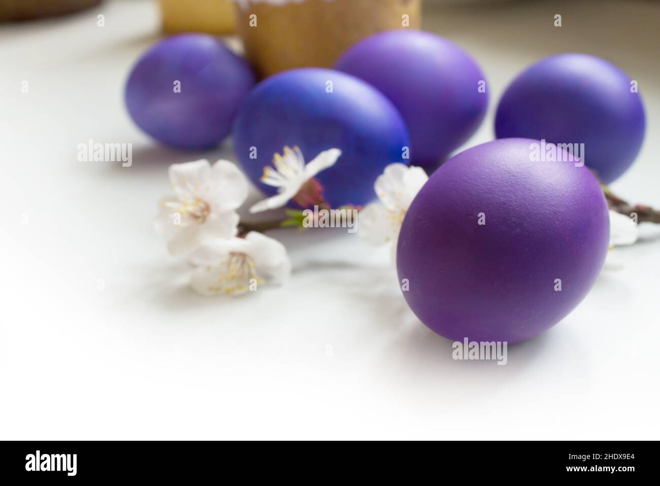 easter eggs easter egg Stock Photo Alamy
