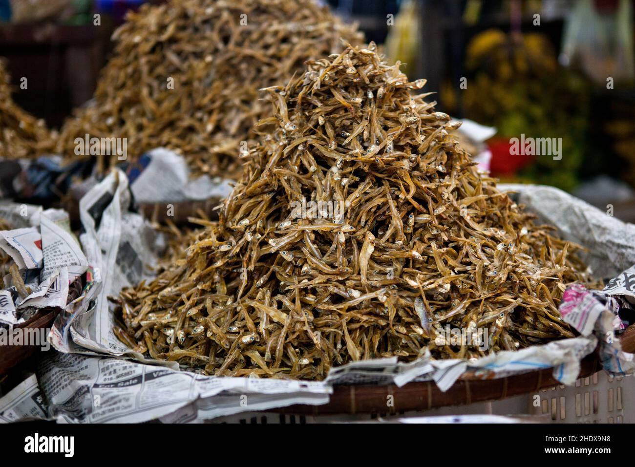 dried fish, anchovy, dried fishes, anchovies Stock Photo Alamy