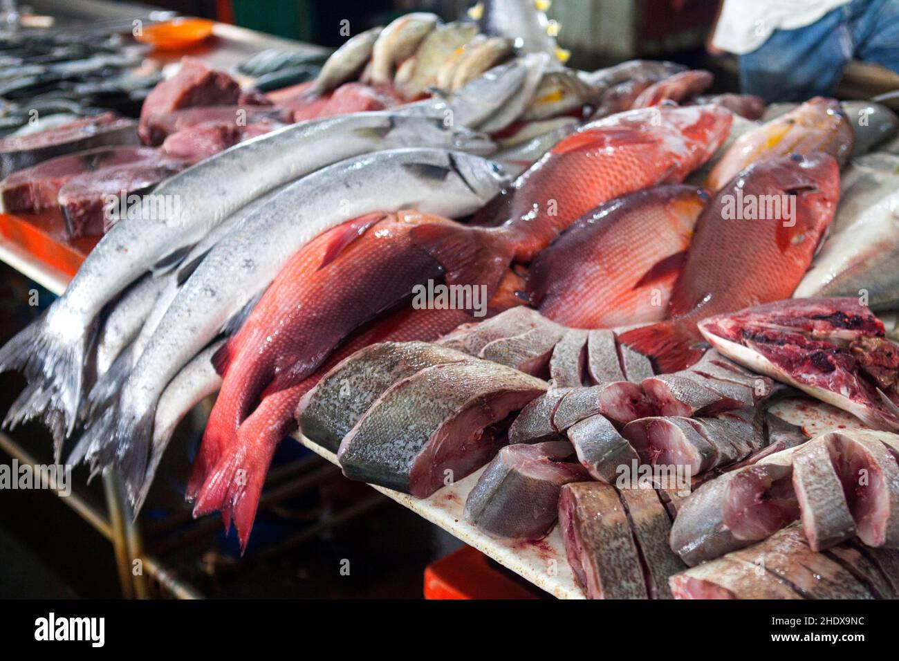 fish, fish market, market stall, fishes, fish markets, market stalls