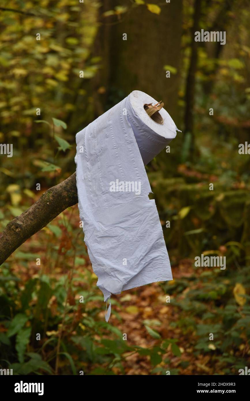 Paper Hand towel in the woods Stock Photo