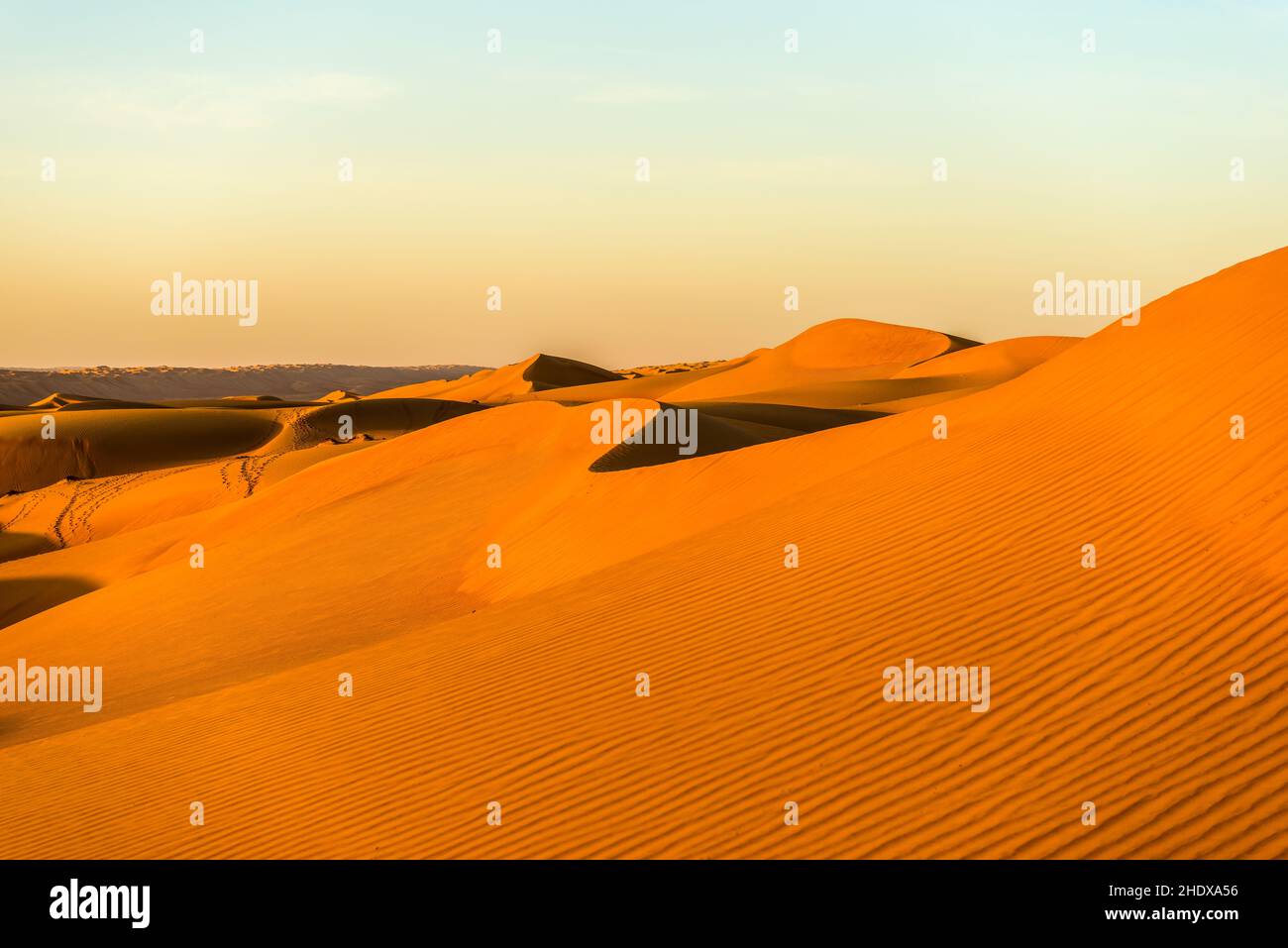 desert, sandy desert, oman, deserts, wüste, sandy deserts, omans Stock Photo