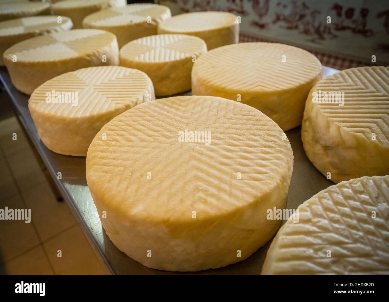 cheese, cheese factory, cheeses, cheese factories Stock Photo Alamy