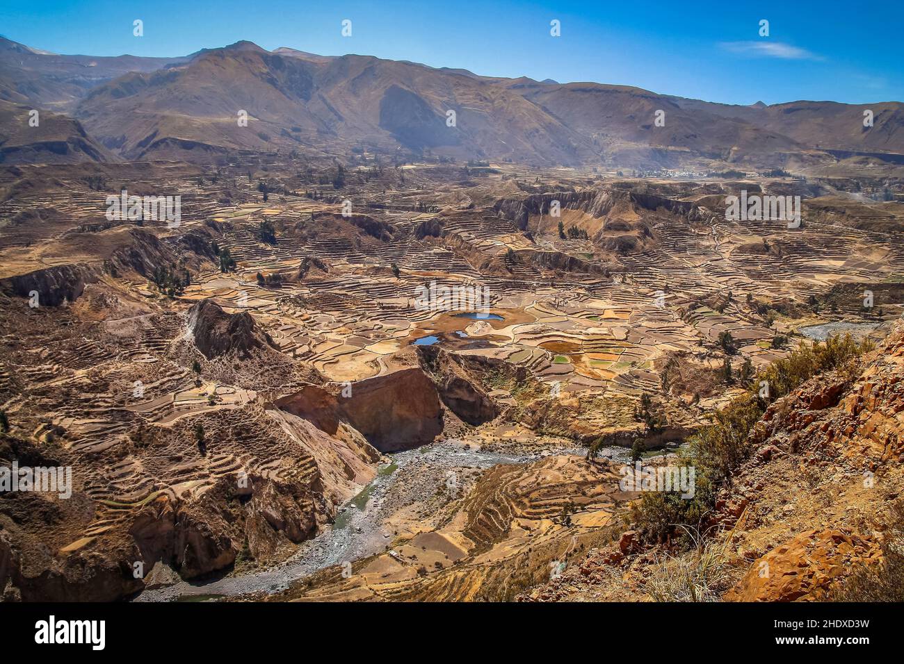 Agriculture, Terraces, Colca Canyon, Agricultures Stock Photo - Alamy