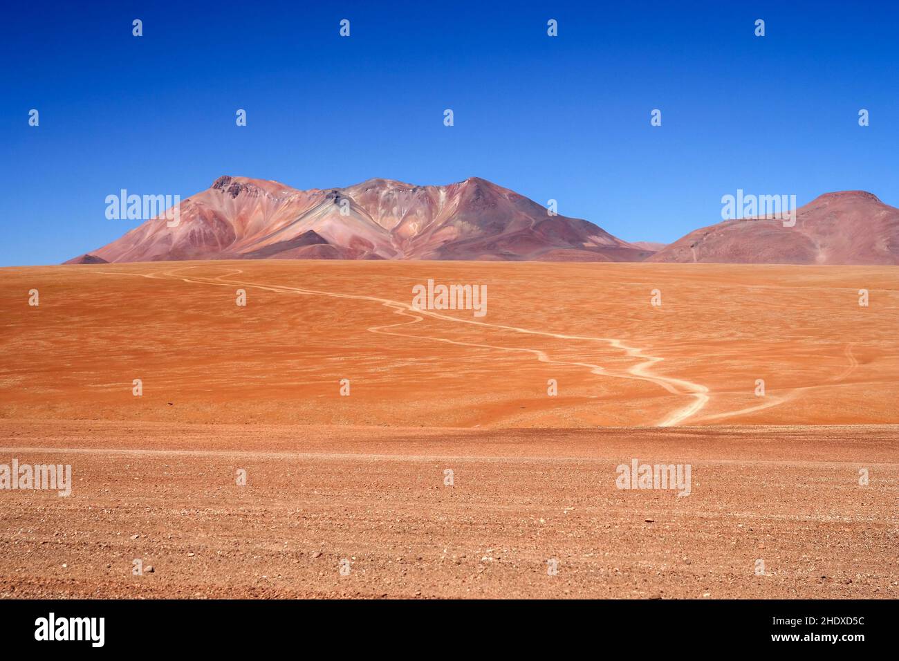 desert, bolivia, altiplano, deserts, wüste, bolivias Stock Photo Alamy
