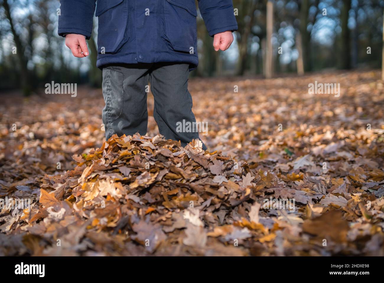child, autumn leaves, children, childs, kid, kids, leaf Stock Photo - Alamy
