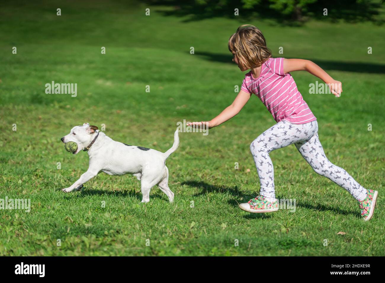 Girls and dogs hires stock photography and images Alamy