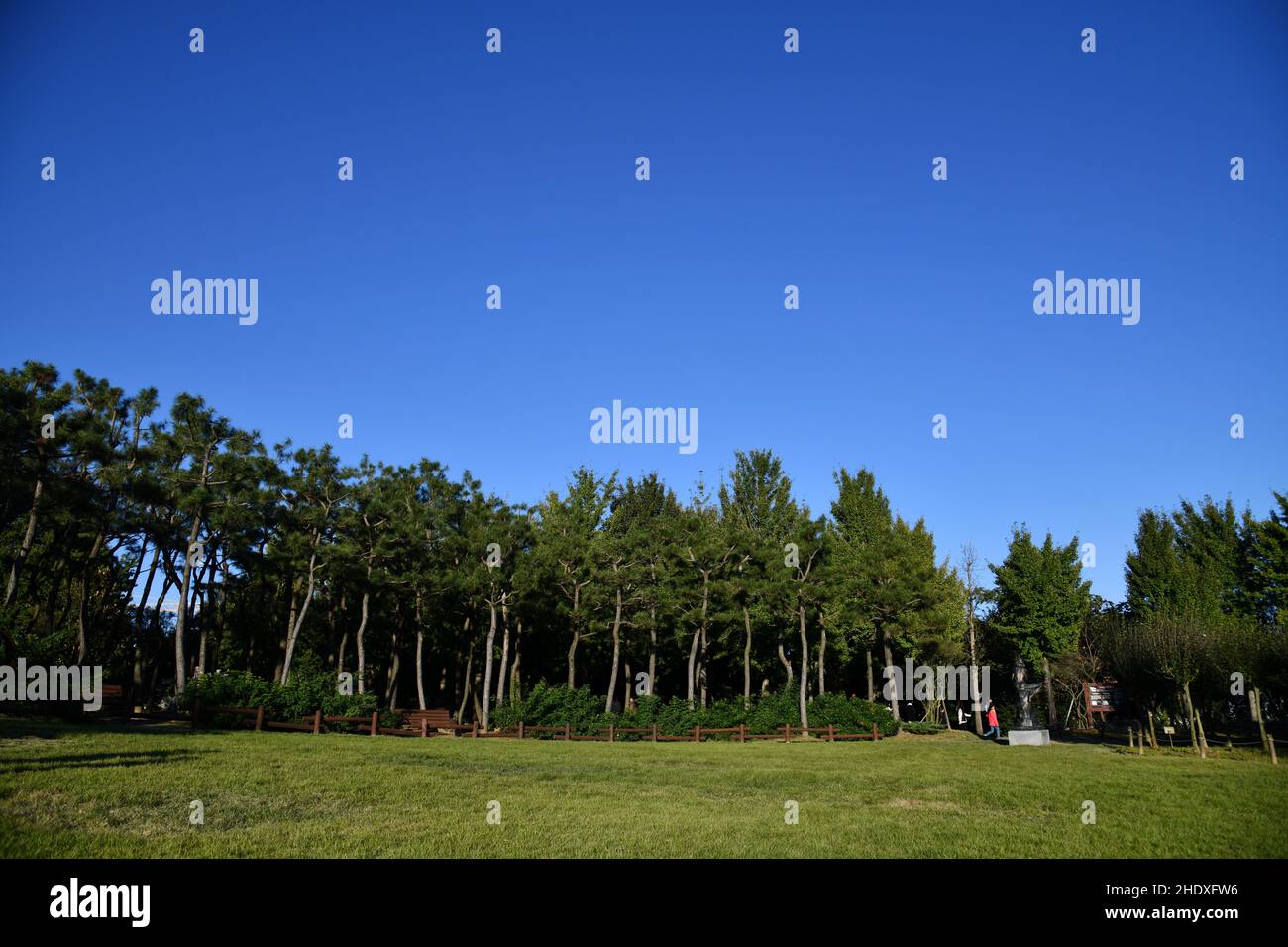 cloudless blue autumn sky Stock Photo - Alamy