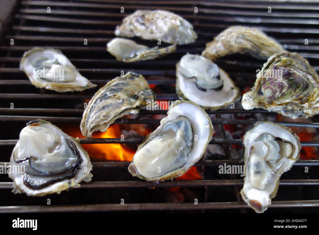 grill, oysters, clam, grills, oyster, clams Stock Photo Alamy