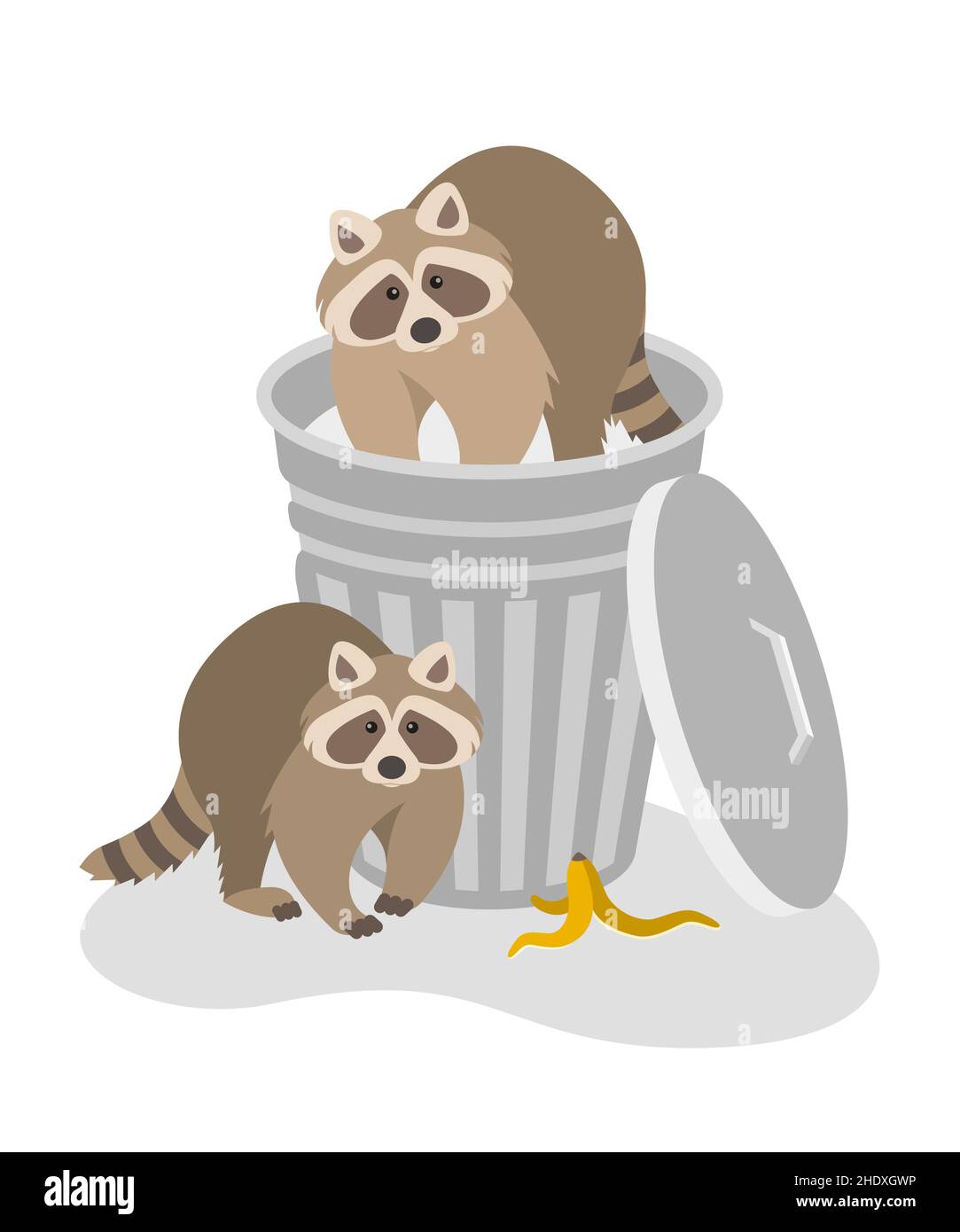 Raccoons steal household rubbish in a street trash can. Wildlife control and pest control services, raccoons removal. Flat cartoon illustration isolat Stock Vector