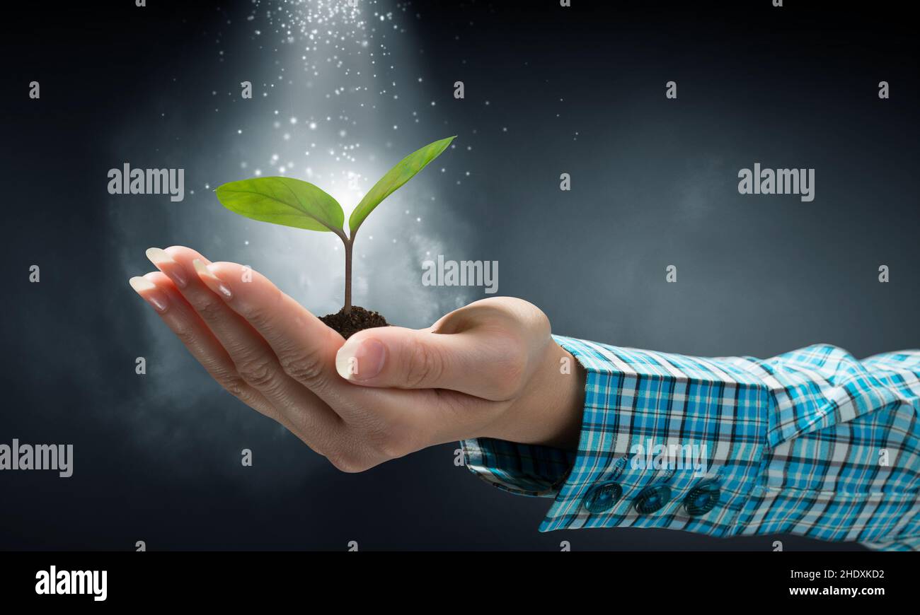 environment protection, plant, growth, ecology, environment protections