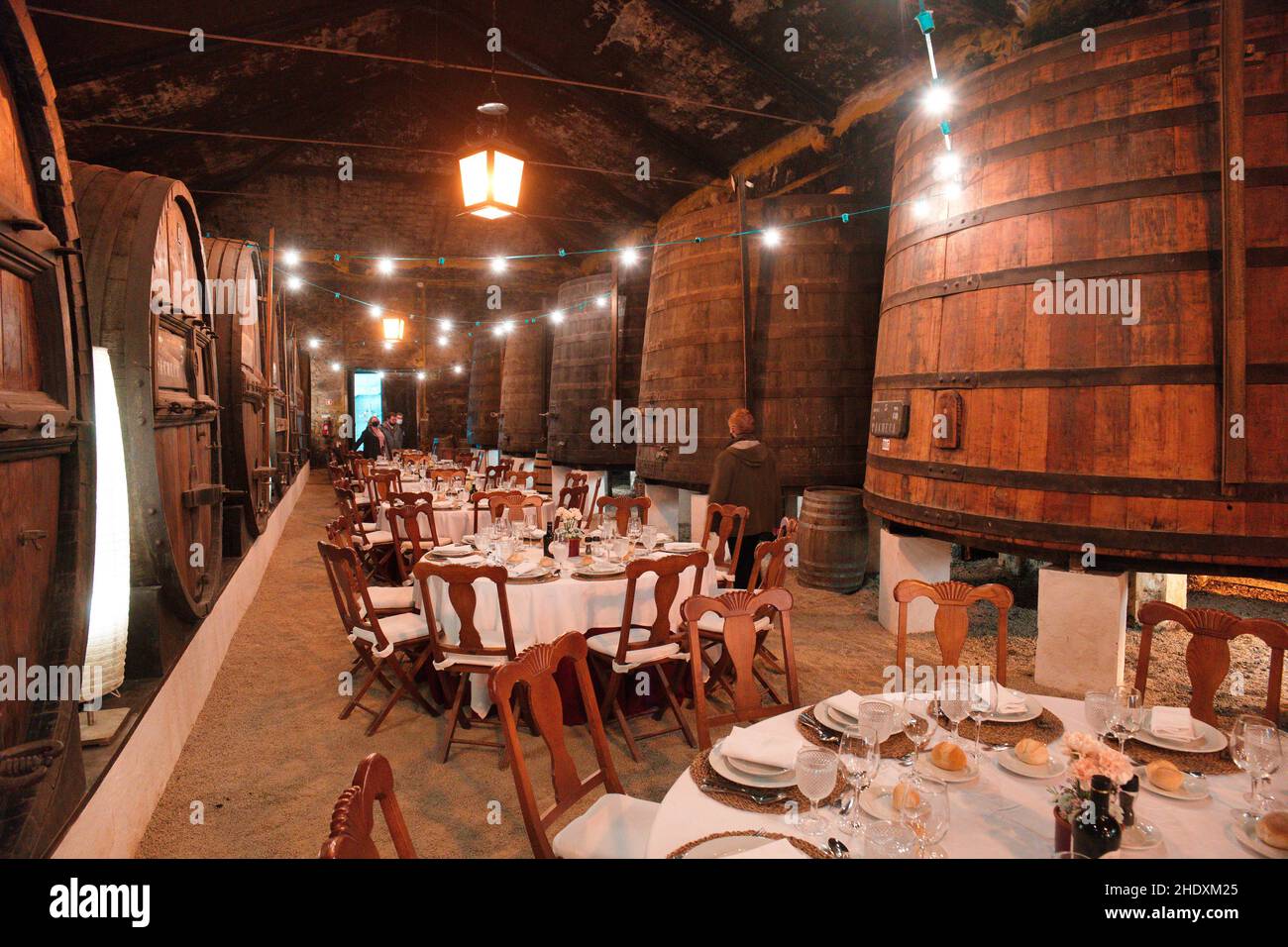 Wine cellar, Quinta da Pacheca, Cambres, Portugal Stock Photo