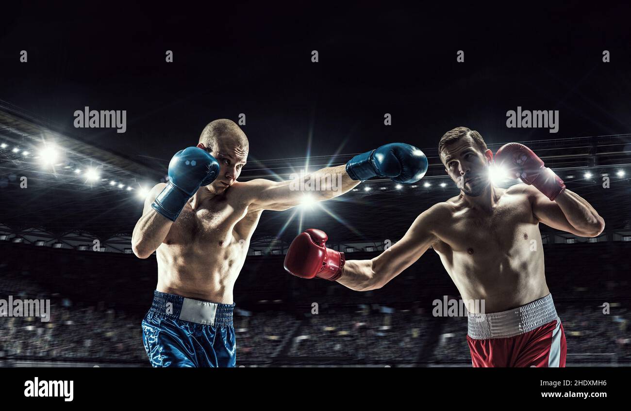 hitting, punching, boxer, boxers Stock Photo Alamy