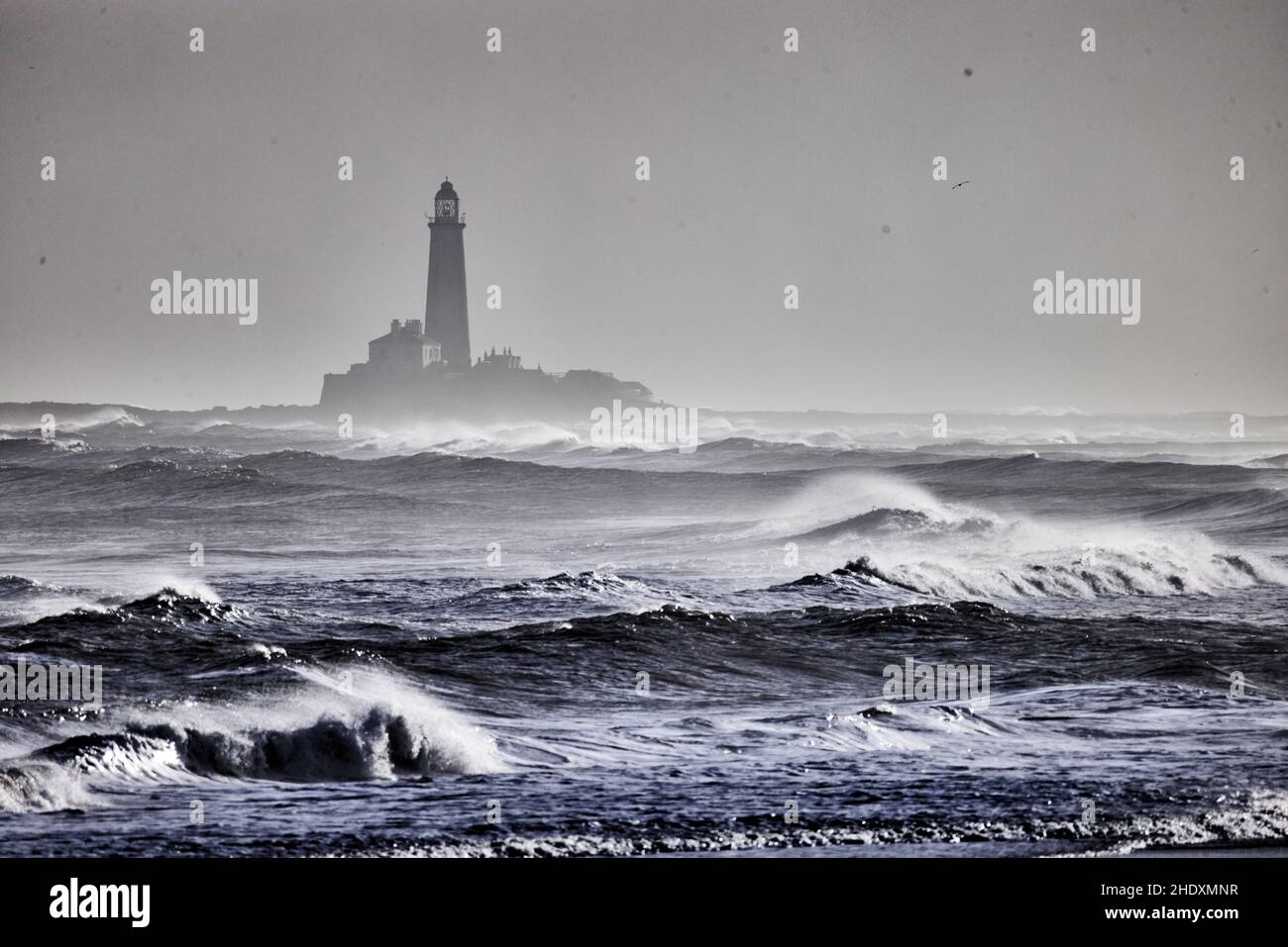 St. Mary's Lighthouse Whitley Bay, a seaside town in North Tyneside, Tyne & Wear, England taken from Blyth Stock Photo