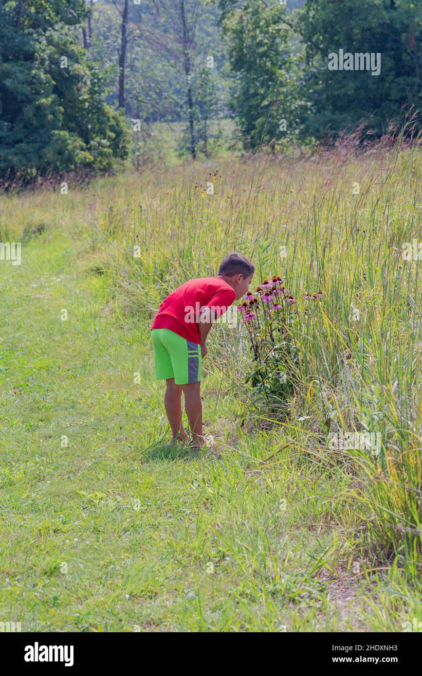 Two young brothers out exploring a land trust area in Door County