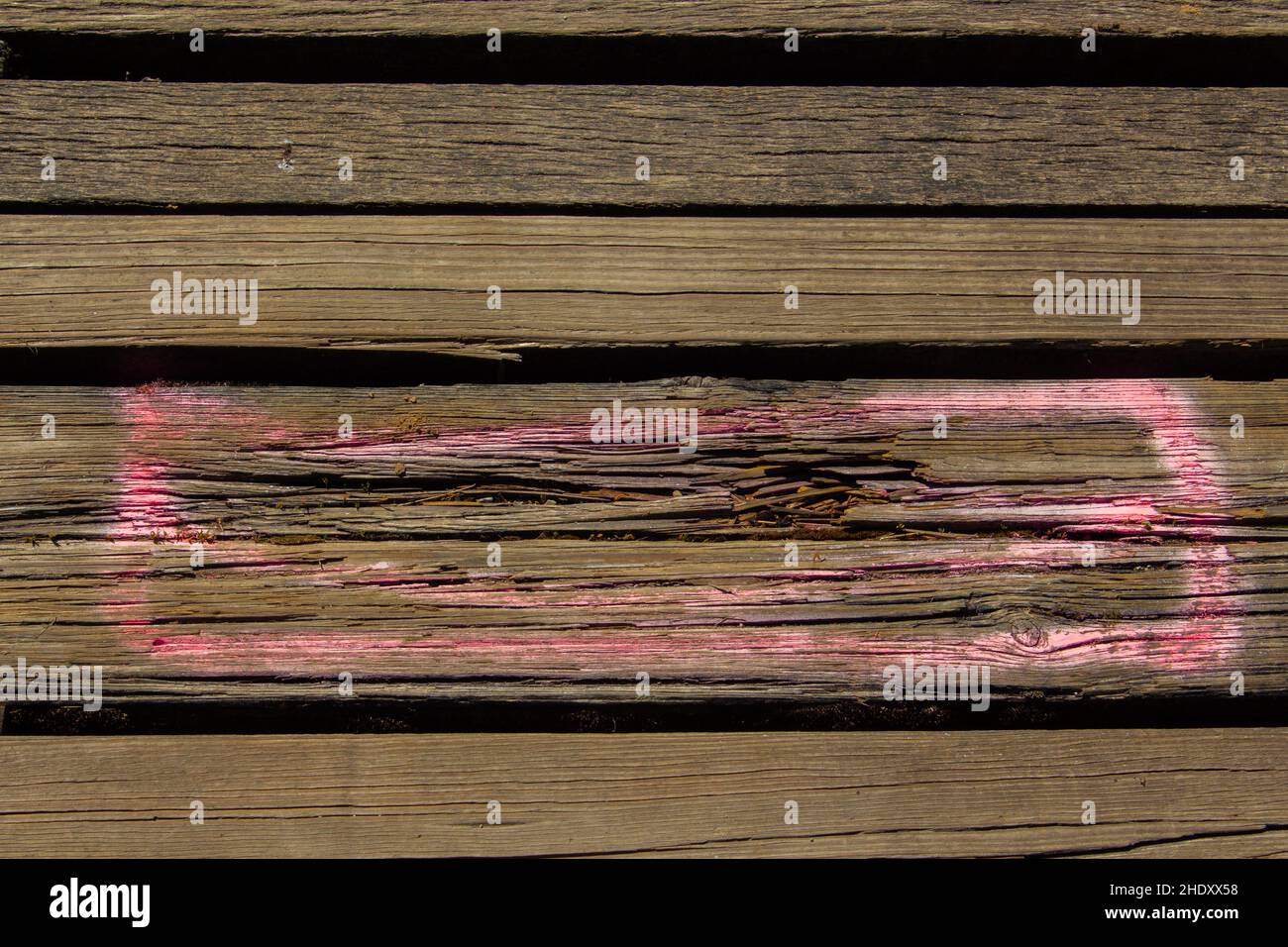 Damaged wooden planks with pink spray paint markings to mark as to renew Stock Photo