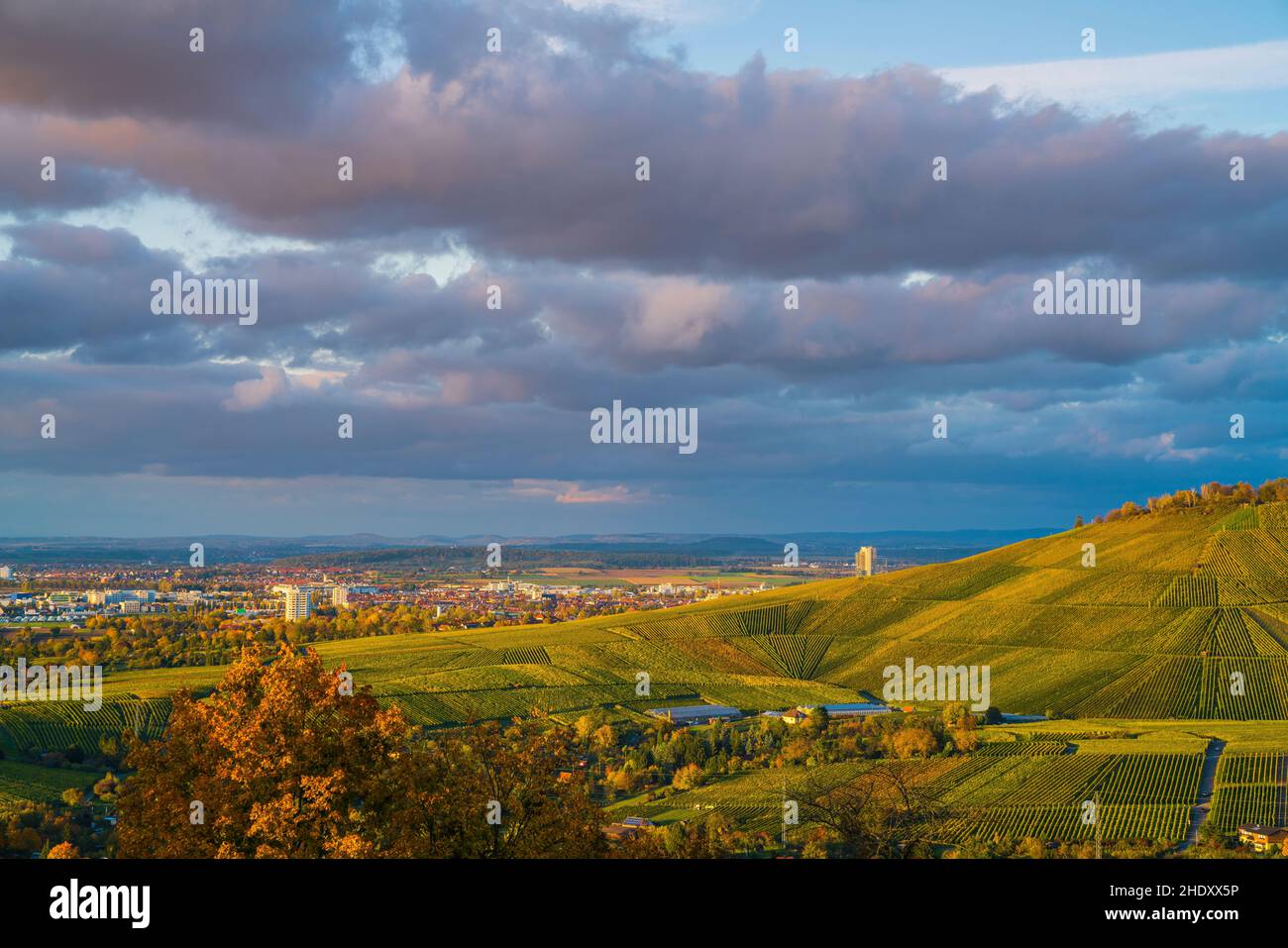 Stuttgart city forest in autumn hi-res stock photography and images - Alamy