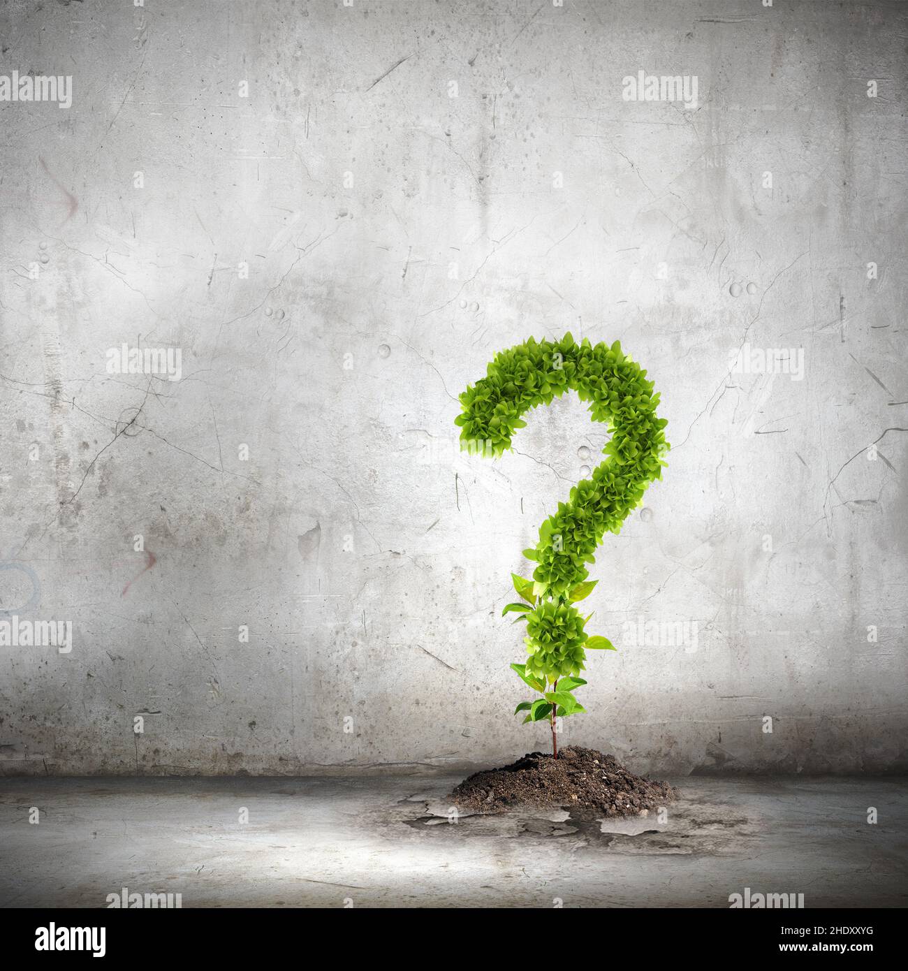 ecology, question mark, environmentalism, ecologies, question marks, environmentalisms Stock Photo