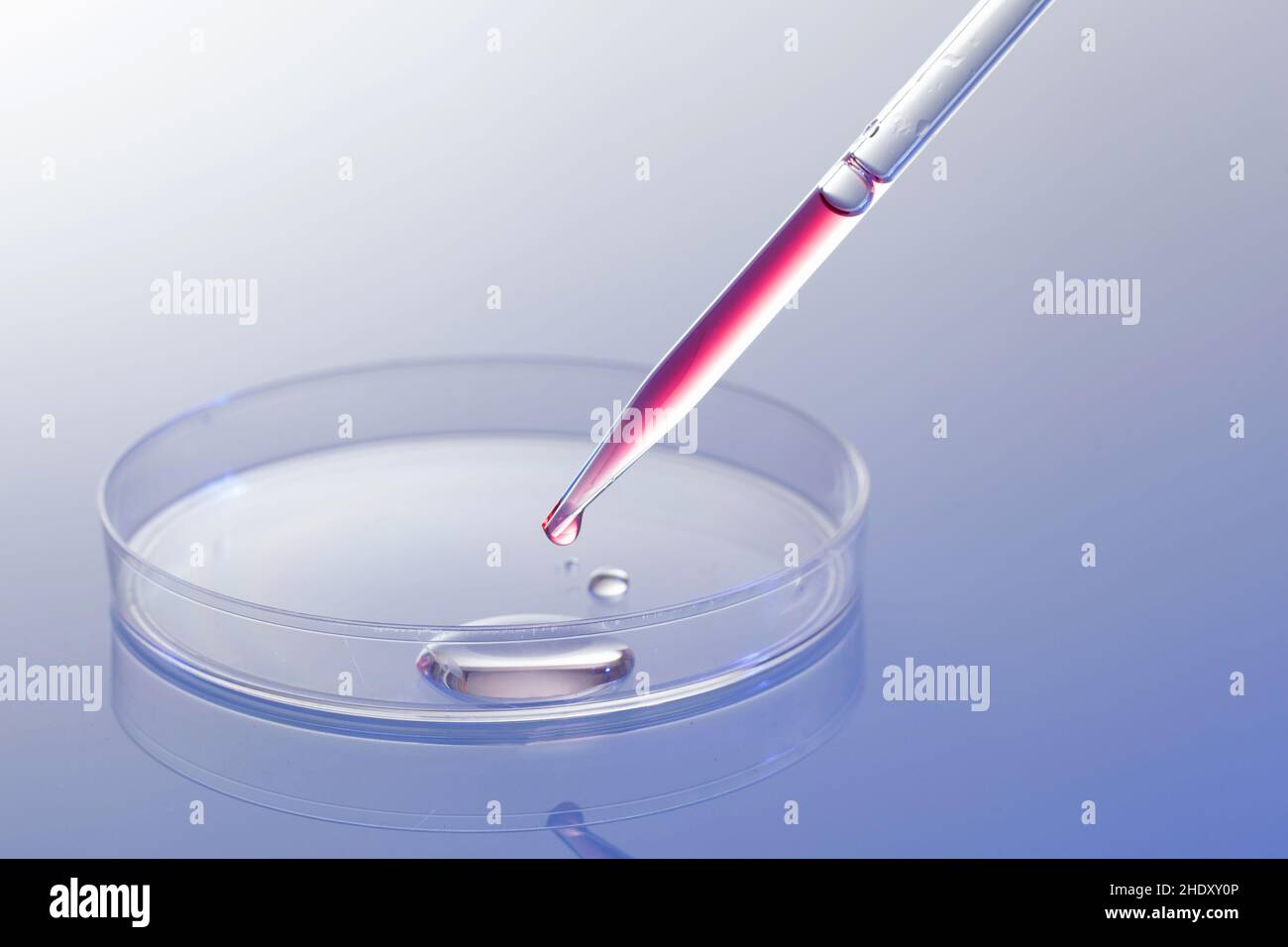research, pipette, microbiology, researchs, pipettes, microbiologies
