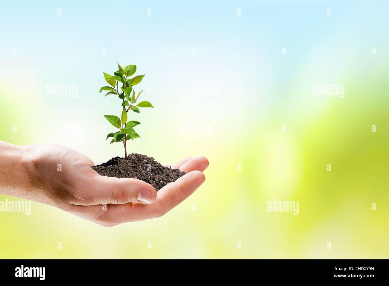 growth, environment, environmentalism, growths, rise, environments, environmentalisms Stock Photo