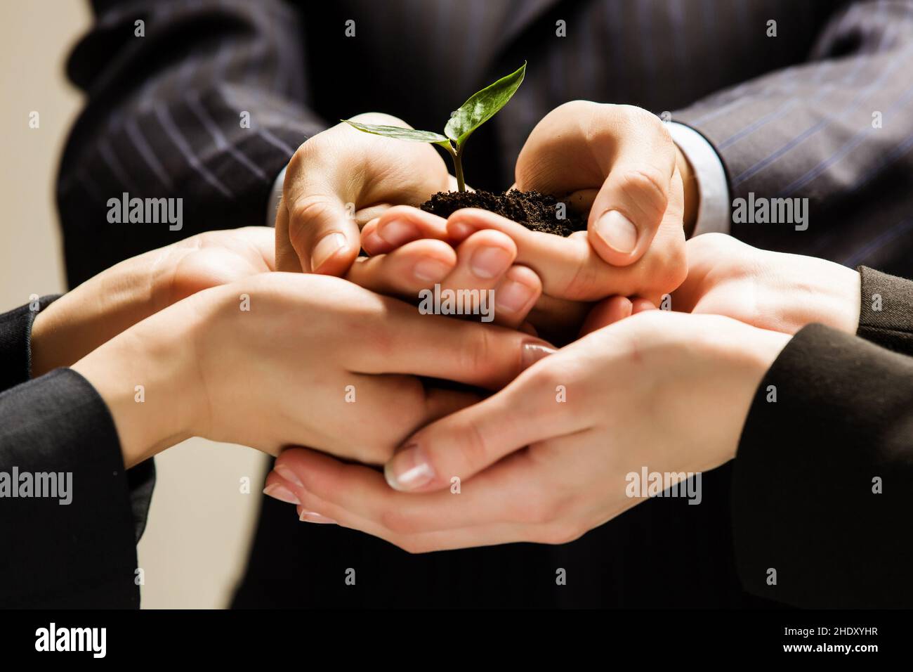 holding, protect, support, protects, supporting, supportive, supports