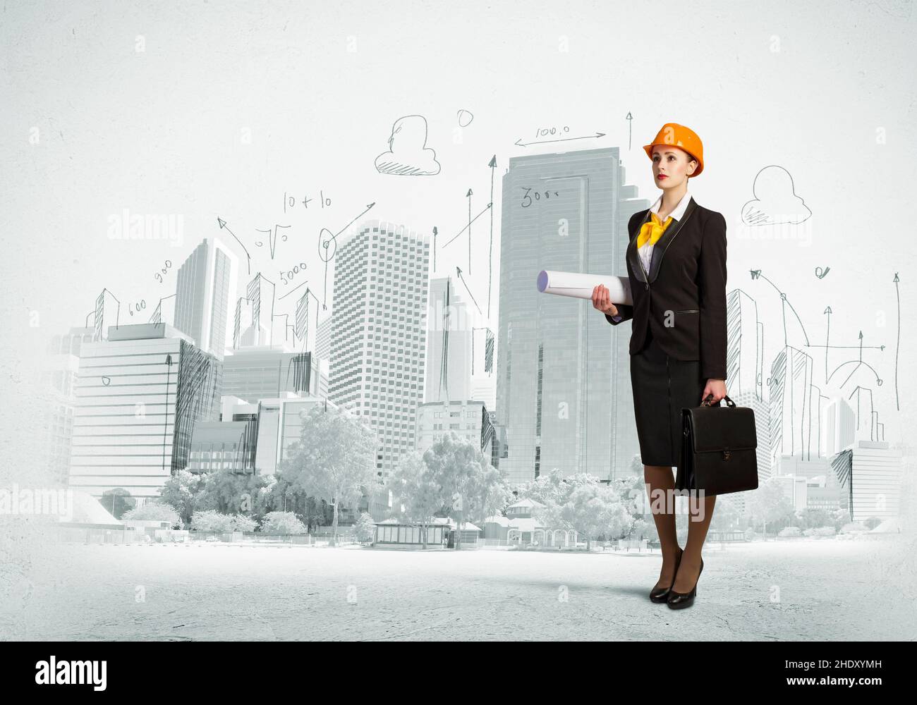 floorplan, blueprint, architect, floorplans, blueprints, architects