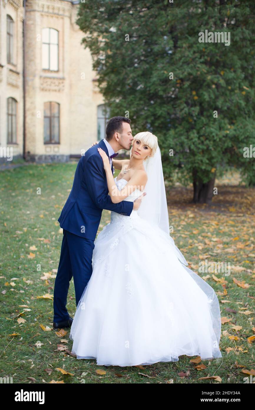 wedding, kissing, weddings Stock Photo