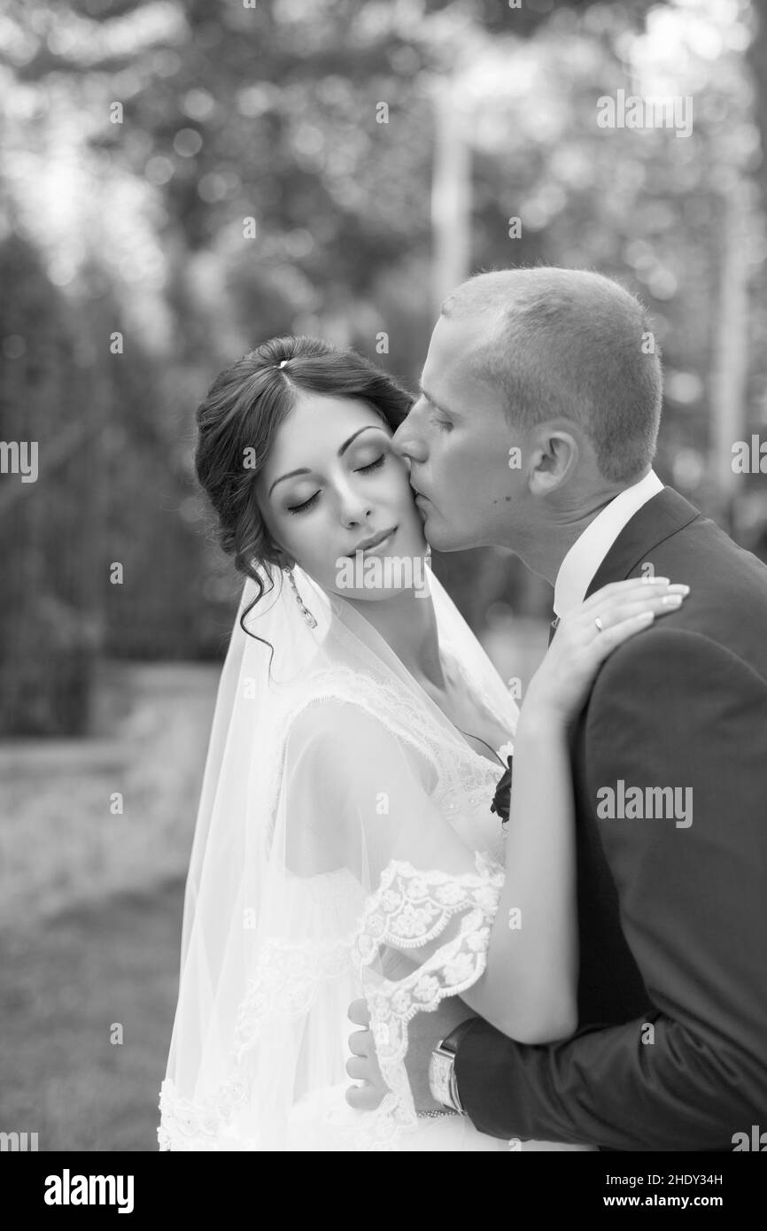 kissing, bridal couple, bridal couples Stock Photo