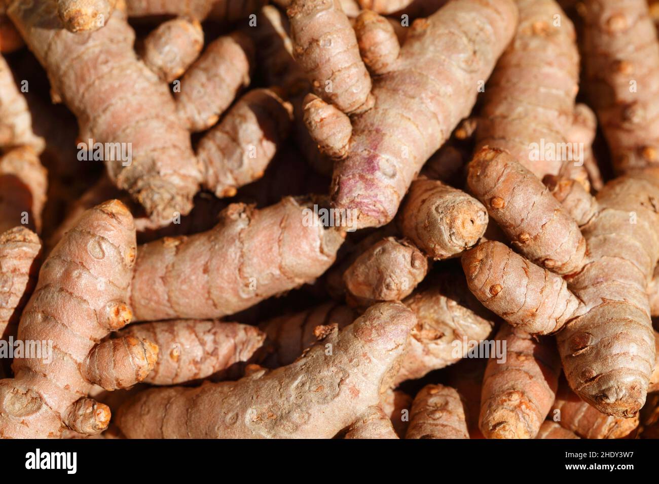 turmeric, curcuma, turmerics Stock Photo Alamy
