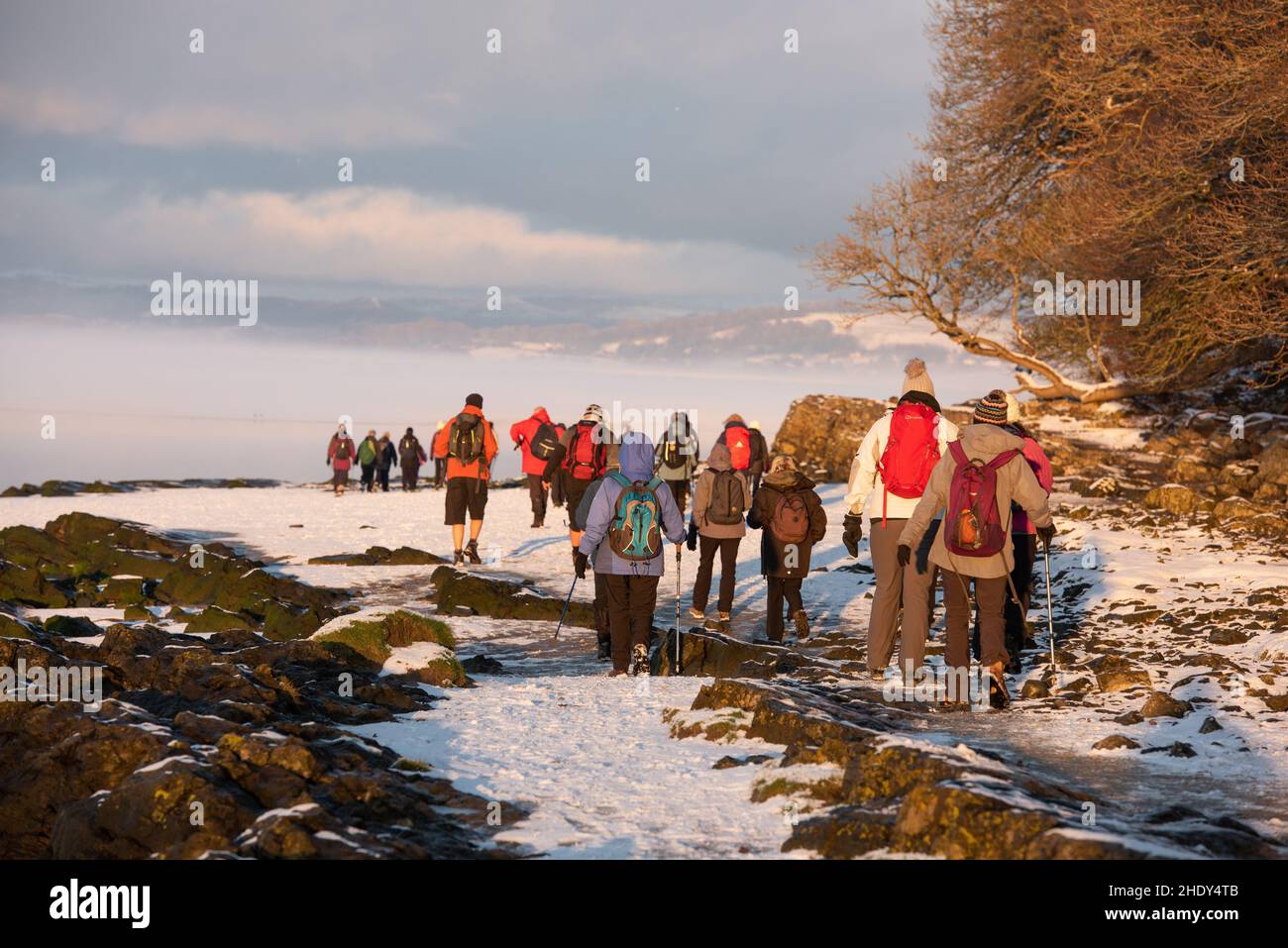 Walkers in the snow, Arnside, Milnthorpe, Cumbria, UK Stock Photo