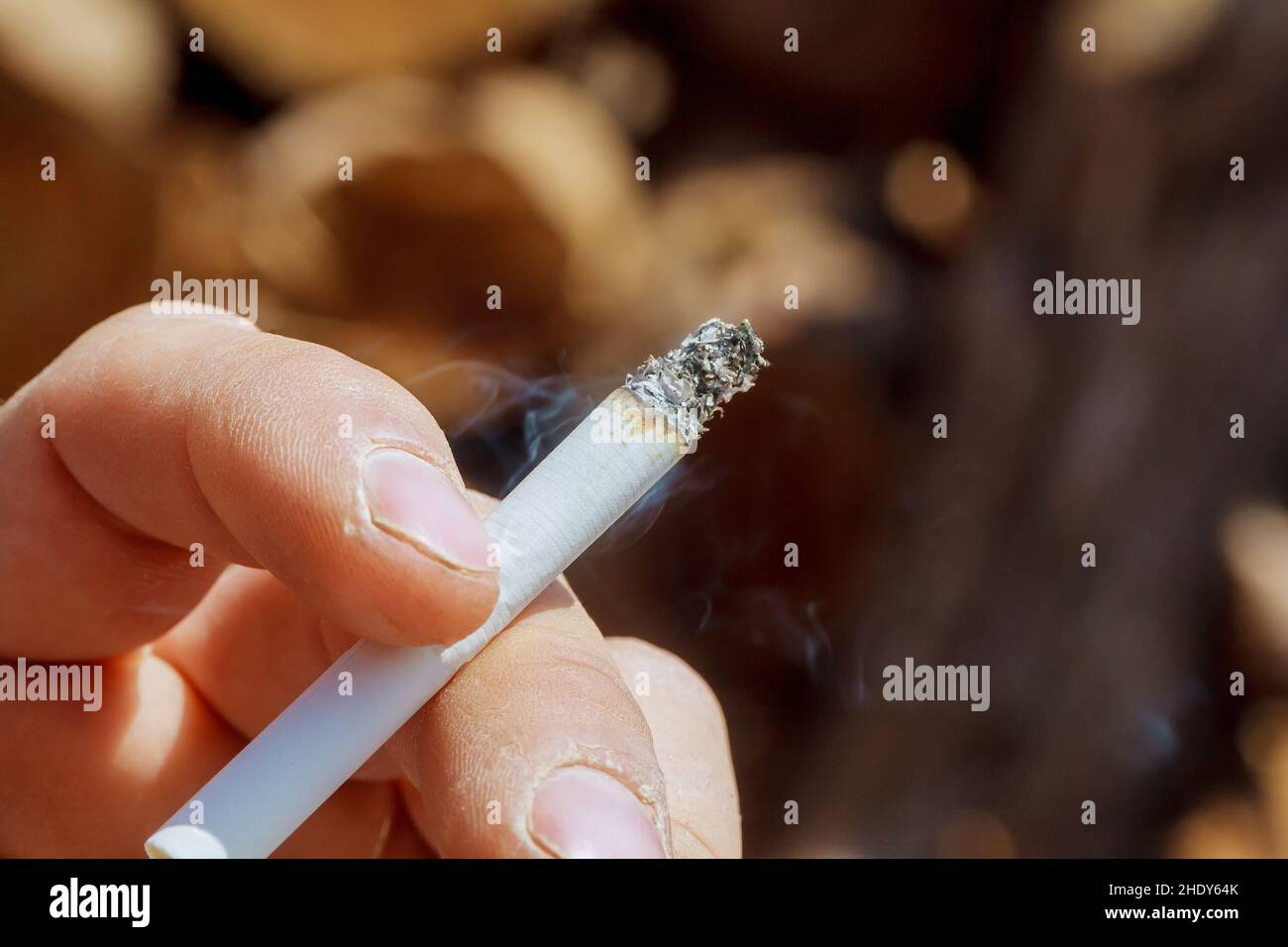 cigarette, smoking, cigarettes Stock Photo
