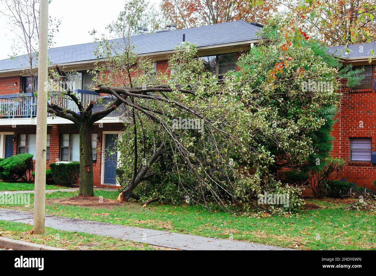 STORM DAMAGES intelligence overview