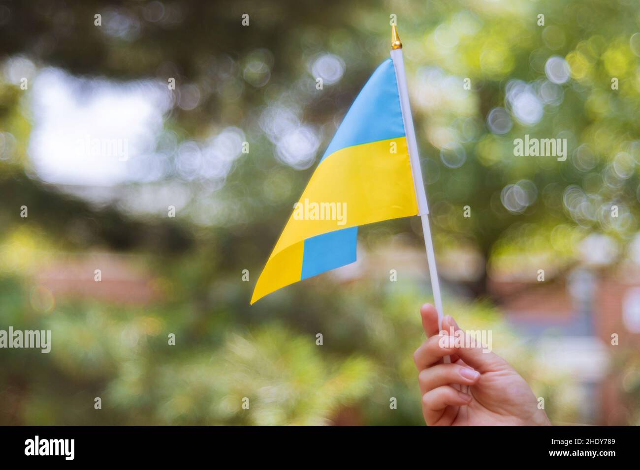 flag, ukraine, flags, ukraines Stock Photo